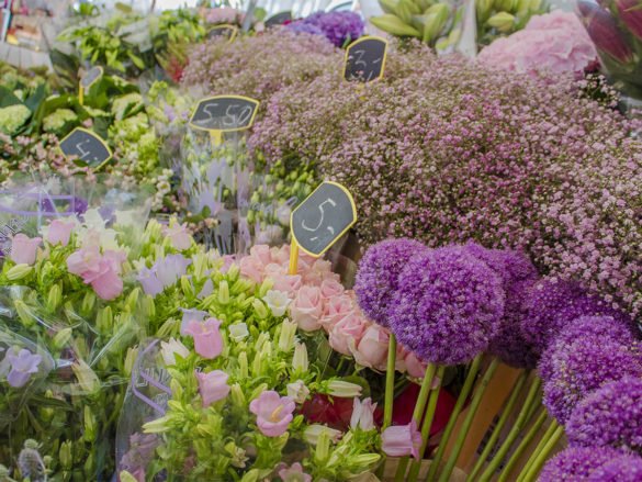 Noordmarket-Jordaan-mercati-amsterdam-Olanda