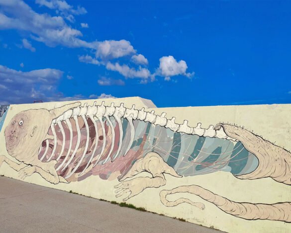 Nemo's e Nulo-Vedo a Colori-Street art-Civitanova Marche Marche